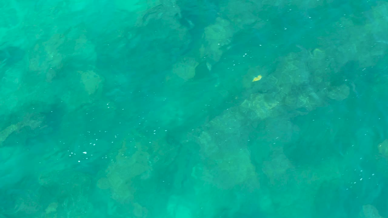 The rocky seabed remains visible through shallow turquoise water in San Jose Del Cabo, with fine ripples and no visible people.