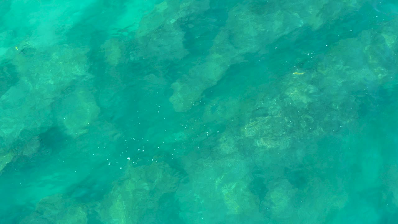 Turquoise water over a rocky seabed with small fish.