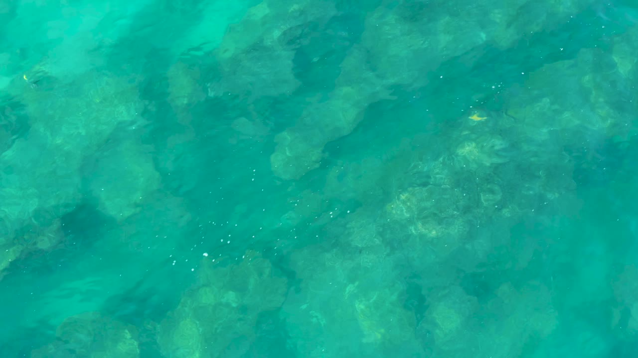 Overhead frame of blue-green water in San Jose del Cabo with darker submerged rocks and faint surface ripples, with no visible people.