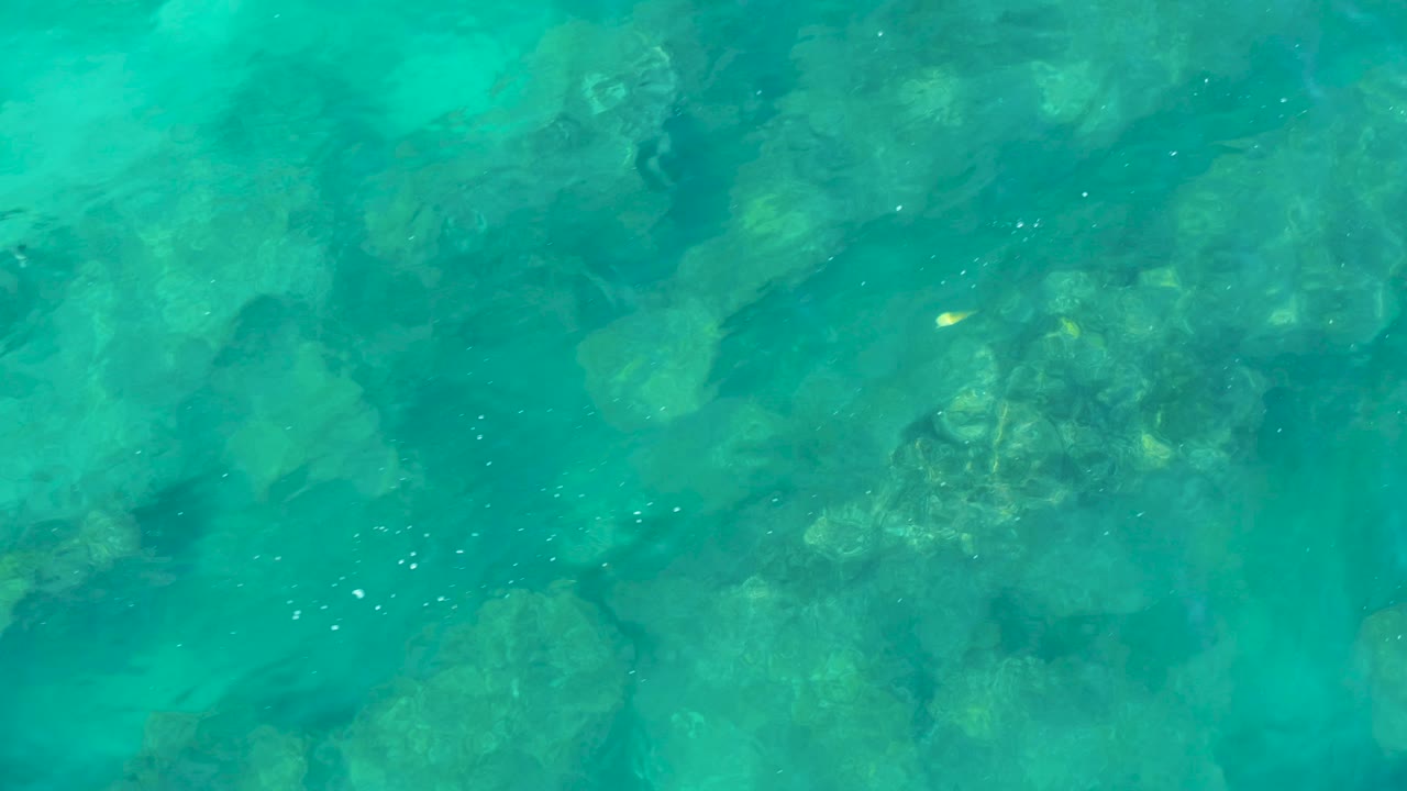Clear turquoise water in San Jose del Cabo reveals a broad rocky seabed with soft light patterns and no shoreline, boats, or visible people.