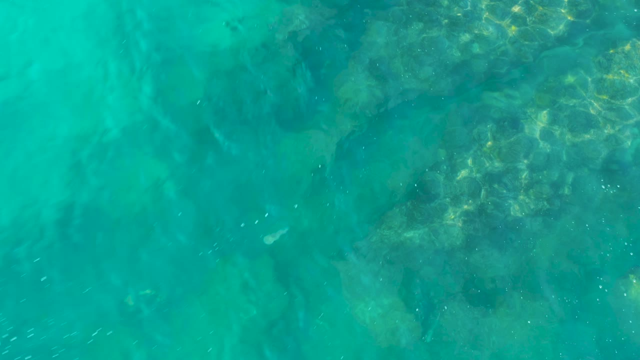 A top-down view through turquoise water in San Jose Del Cabo shows darker rocks below and a small pale fish near the left side, with no visible people.