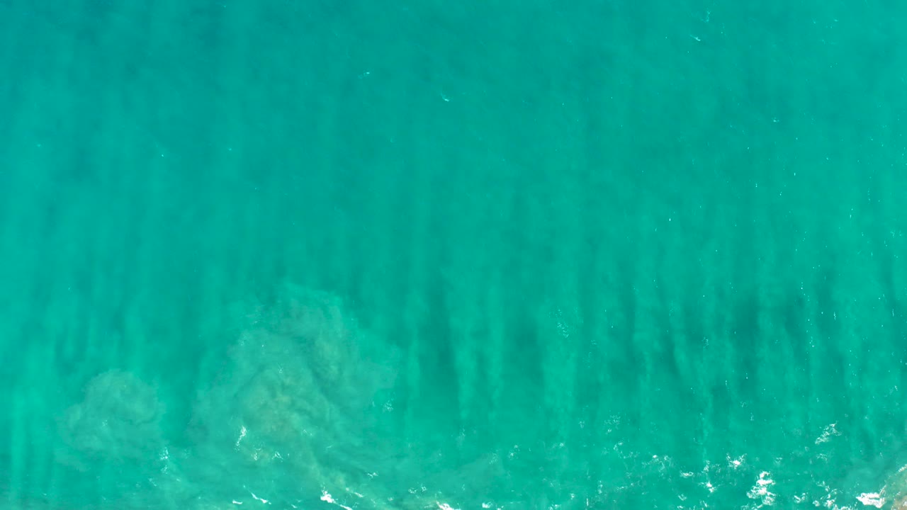 Top-down view of clear turquoise water in San Jose del Cabo with dark submerged vegetation bands and no visible people at the start of the clip.