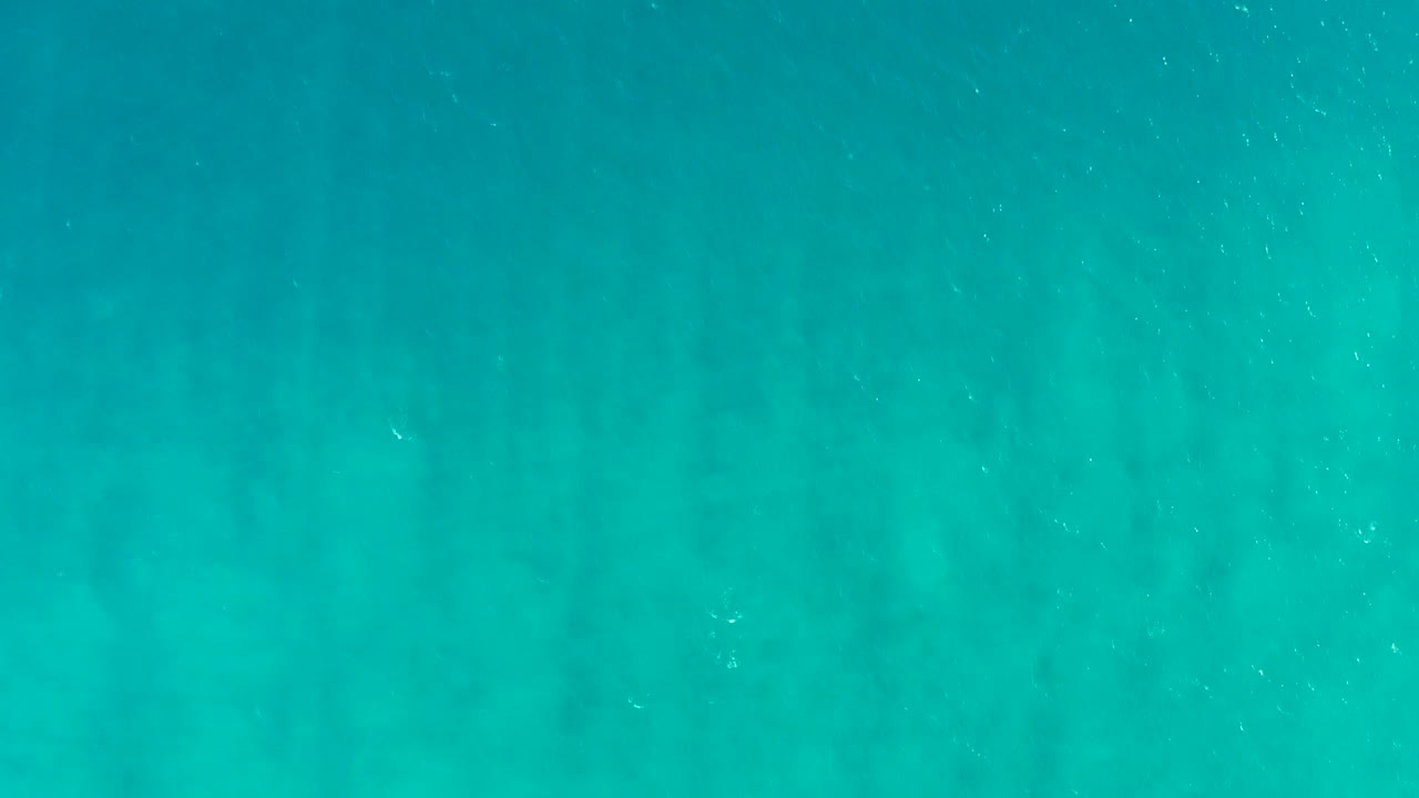 Blue-green underwater view with kelp-like lines