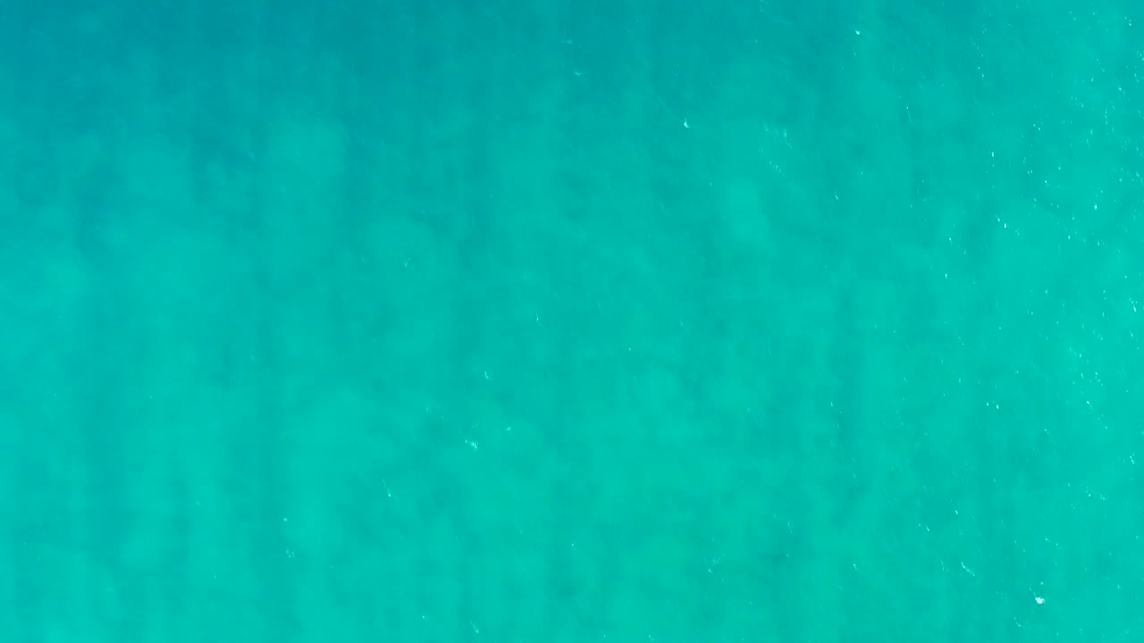 Soft sandy bottom visible through turquoise water.