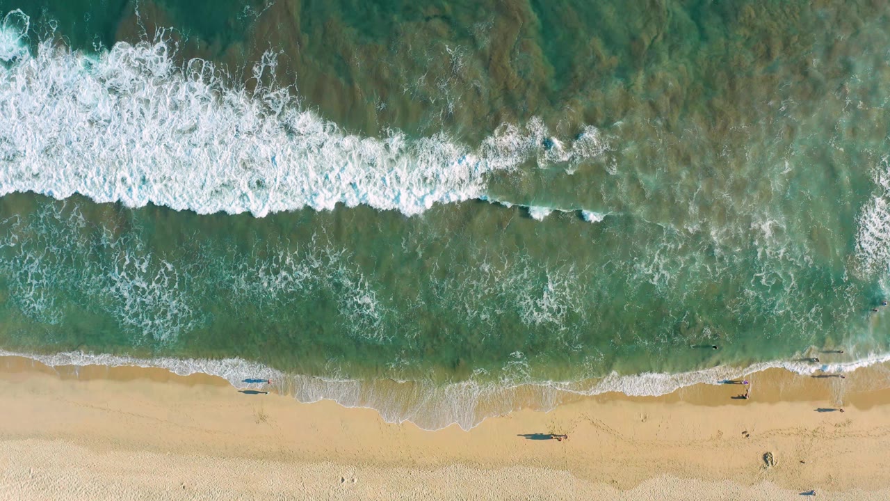 Aerial San Jose Del Cabo shoreline frame where white foam stretches across the upper half and the wet sand band is visible at the bottom, with no visible people.