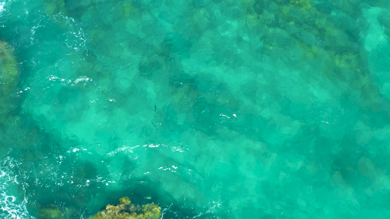 Overhead frame of shallow turquoise sea over a muted rocky bottom in East Cape, with faint white foam near the lower left edge and no visible people.
