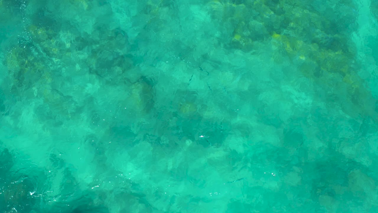A top-down frame of East Cape turquoise water shows darker rocky areas under gentle ripples, scattered small fish, and no visible people.