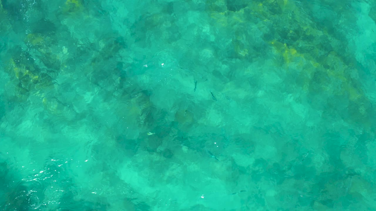East Cape shallow water appears bright turquoise with yellow-green rock patches, soft wave texture, small fish marks, and no visible people.