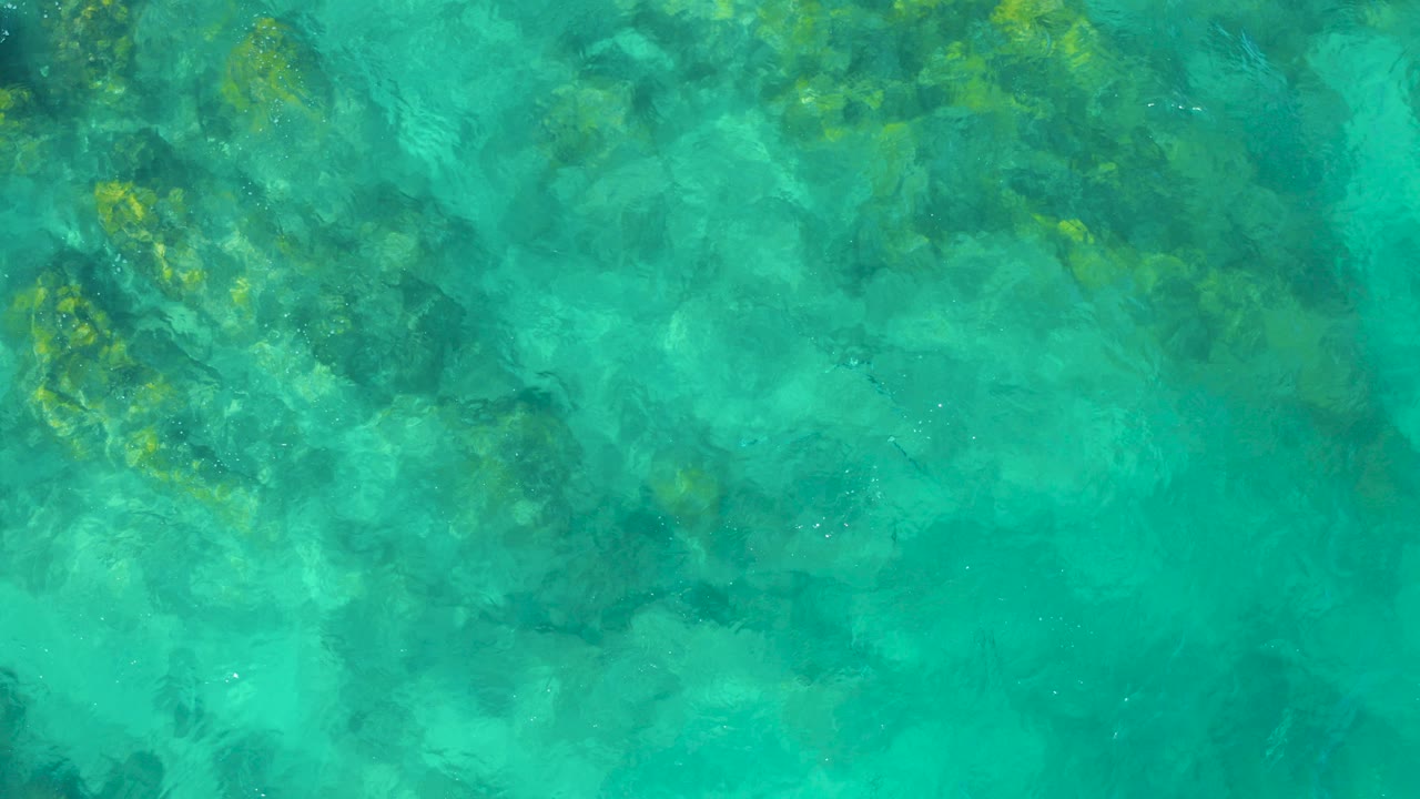 Overhead turquoise ocean water with seabed rocks visible below.