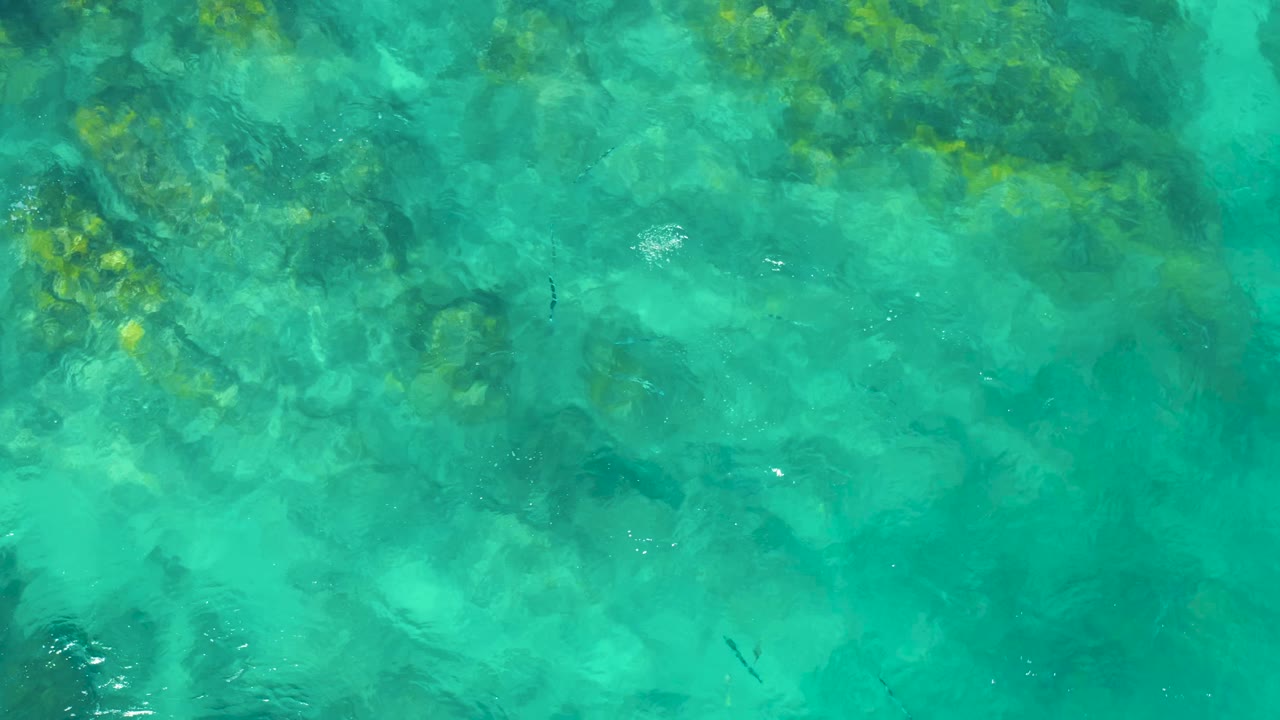 Aqua water fills the frame over mottled dark seabed patches in East Cape Baja California Sur, Mexico, with faint ripples and no visible people.