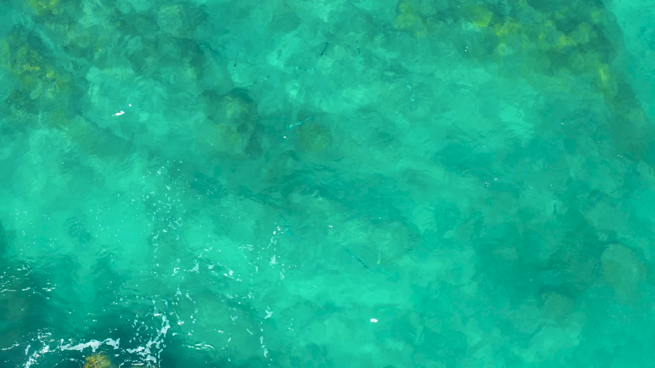 East Cape shallow water seen from above, with visible rocks or coral-like formations beneath the surface and faint small fish shapes, with no visible people.