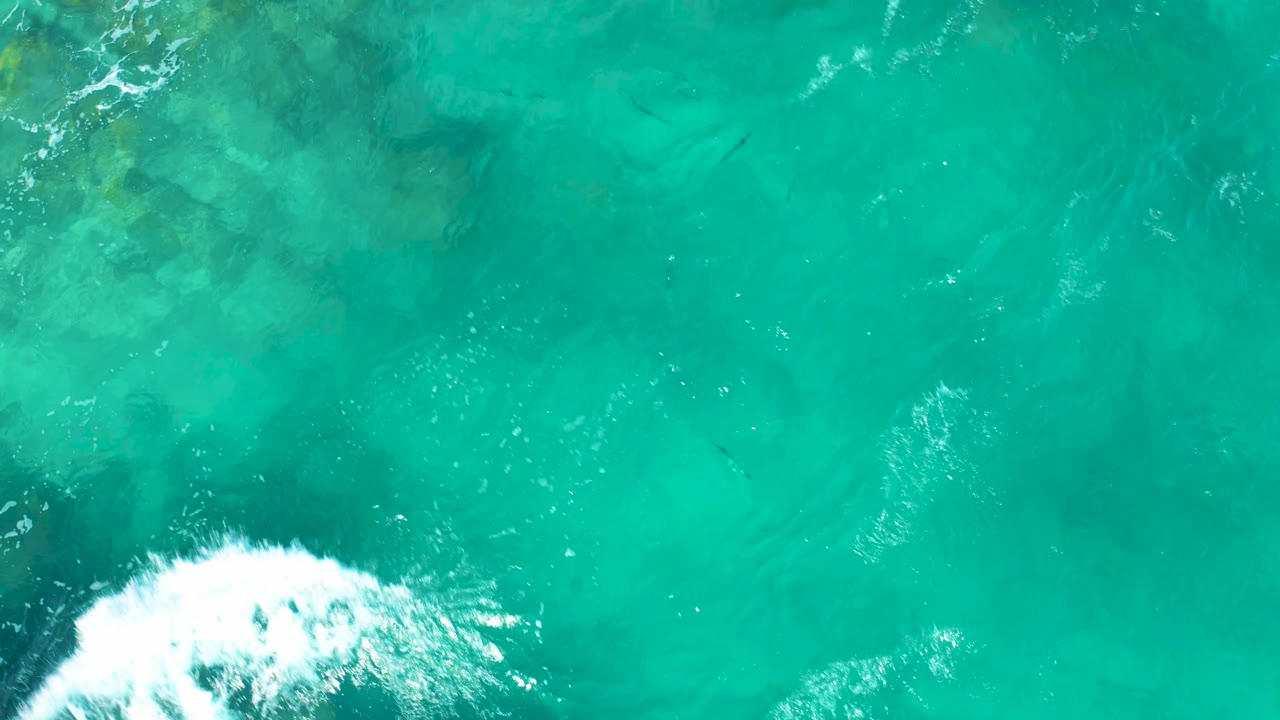 Turquoise ocean surface with foam along the bottom edge and seabed visible below.