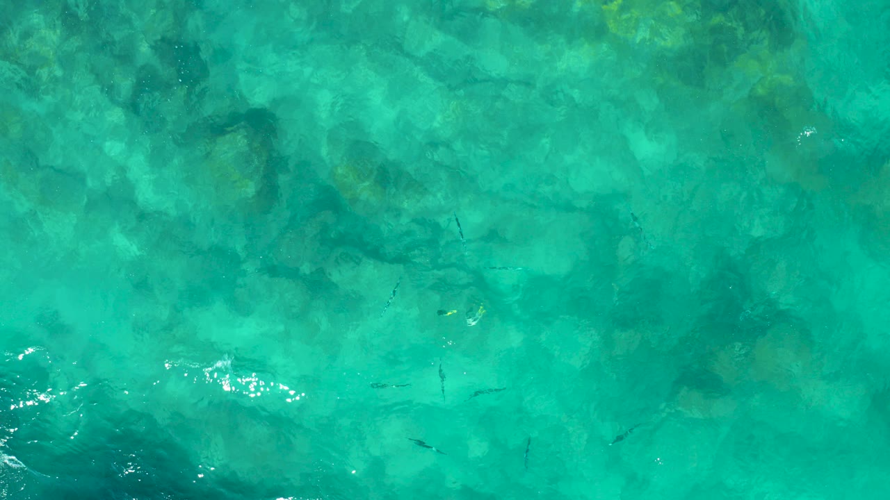 Turquoise shallow water over a rocky seabed with small fish shapes.