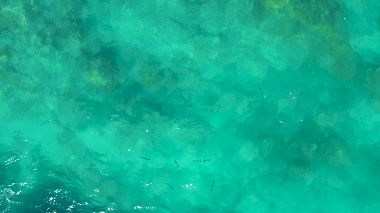 Overhead shallow ocean view in East Cape BCS Mexico with mottled rocks, turquoise water, subtle fish shapes, moving ripples, and no visible people.