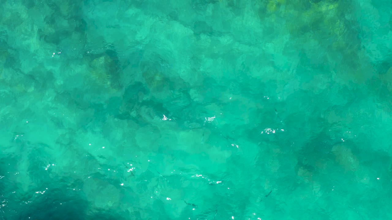 Clear teal ocean water over darker rocky patches in East Cape, Baja California Sur, with small fish scattered through the shallows, white glints on the surface, and no visible people.