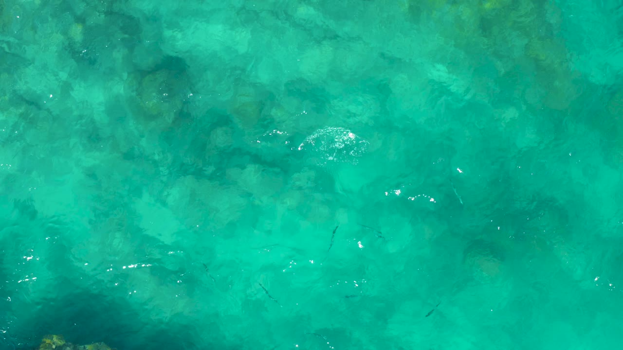 Aerial view of clear water with fish and faint rocky patterns.
