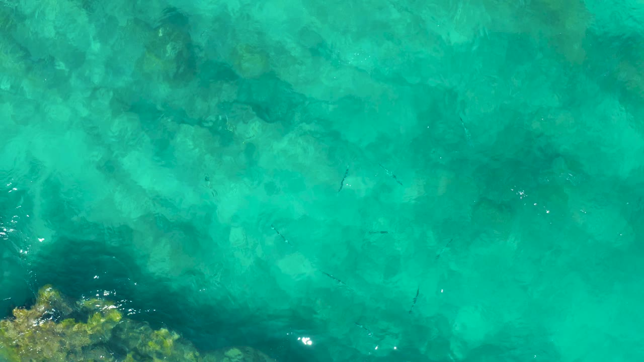 Clear East Cape turquoise water fills the frame, with a rocky or coral patch along the lower edge, faint fish shapes in the midwater, and no visible people.