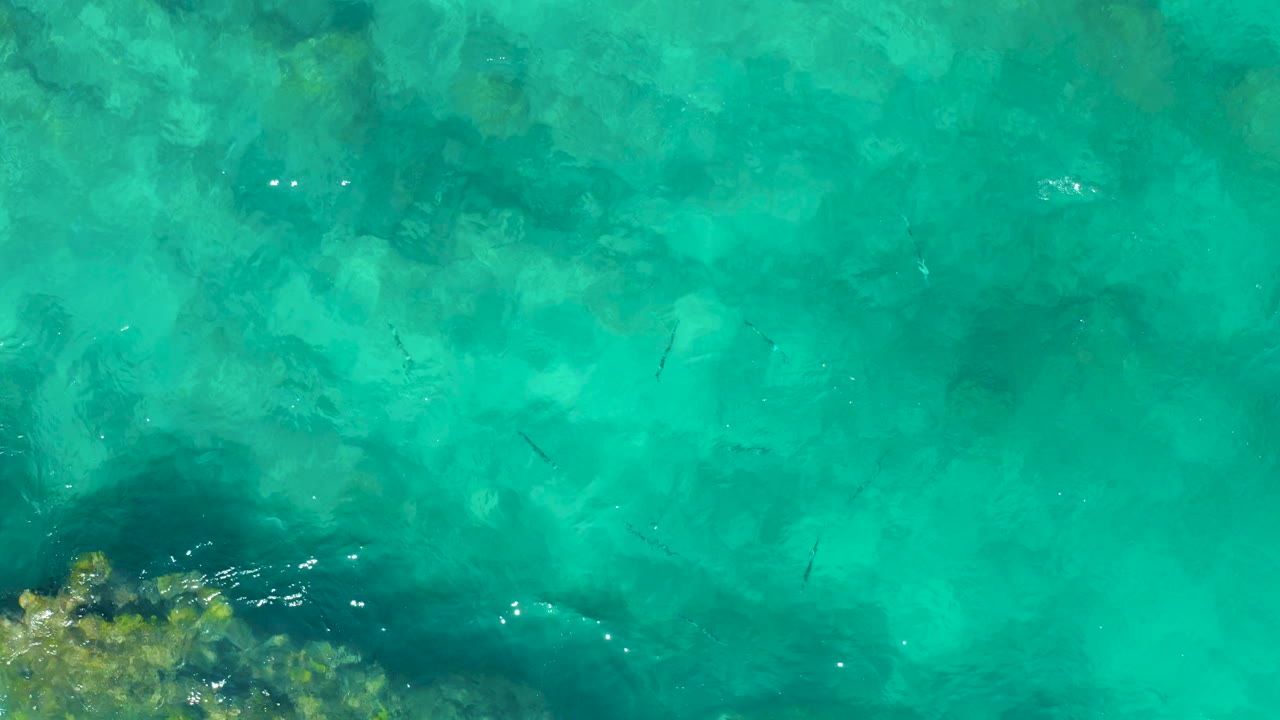 Overhead East Cape water detail with rocks clustered at the lower left, scattered bright reflections, small fish moving through the center area, and no visible people.