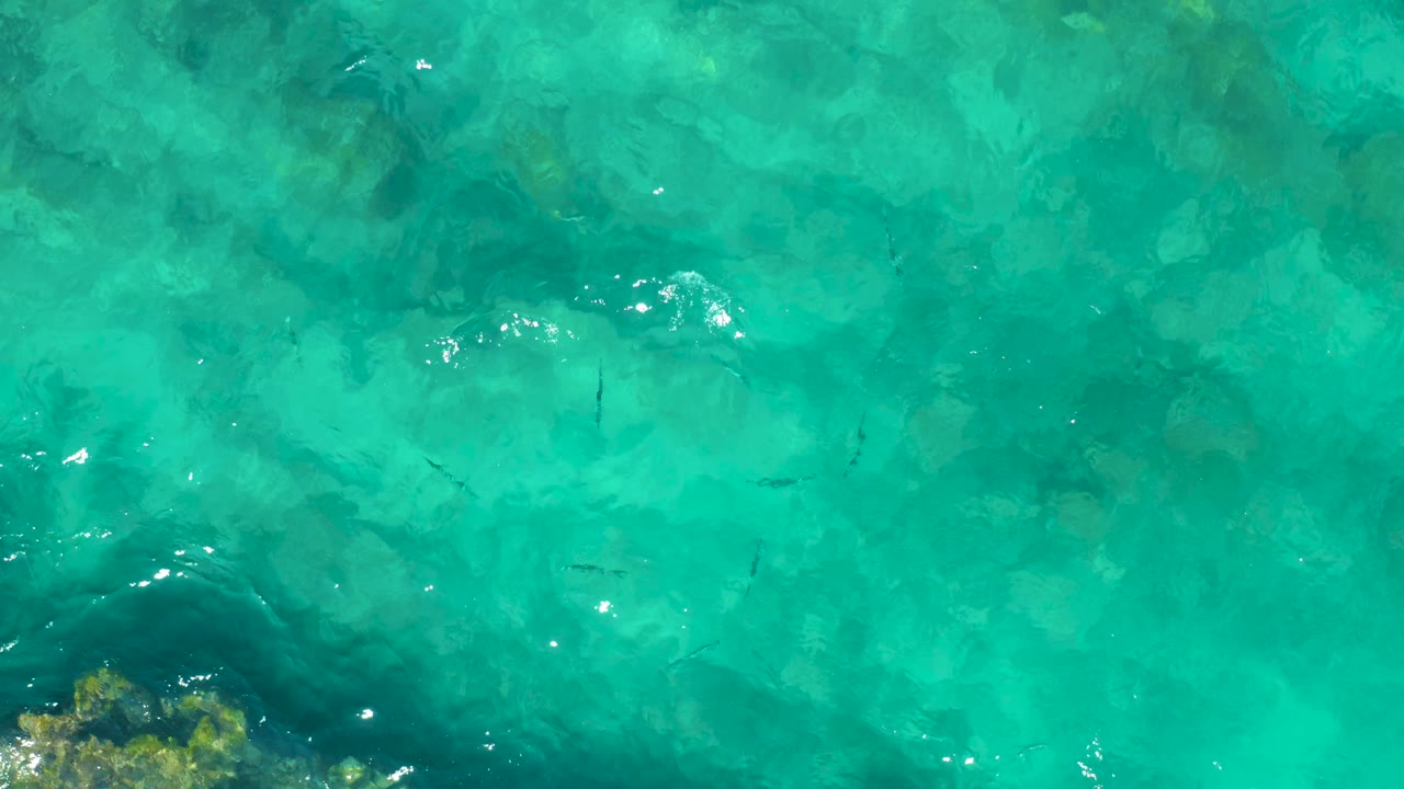 Clear turquoise water in East Cape, Baja California Sur, with small fish shapes under the rippled surface and a rocky edge entering near the lower frame, no visible people.