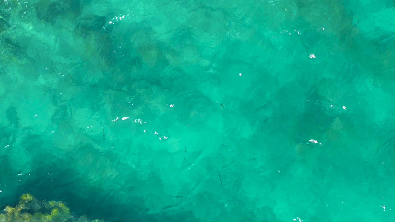 Turquoise shallow sea with submerged rocks, fish, and a rocky edge at lower left.