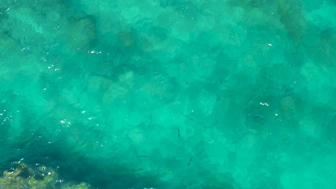 A top-down East Cape BCS Mexico water frame shows turquoise surface ripples, darker fish forms, submerged rock texture, bright specks of reflected light, and no visible people.