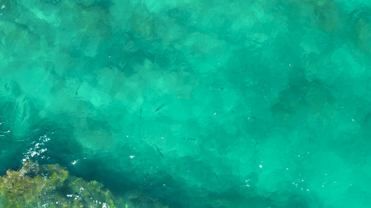 Overhead view of clear turquoise water in East Cape BCS Mexico, with submerged rock texture, small fish under the surface, and no visible people.