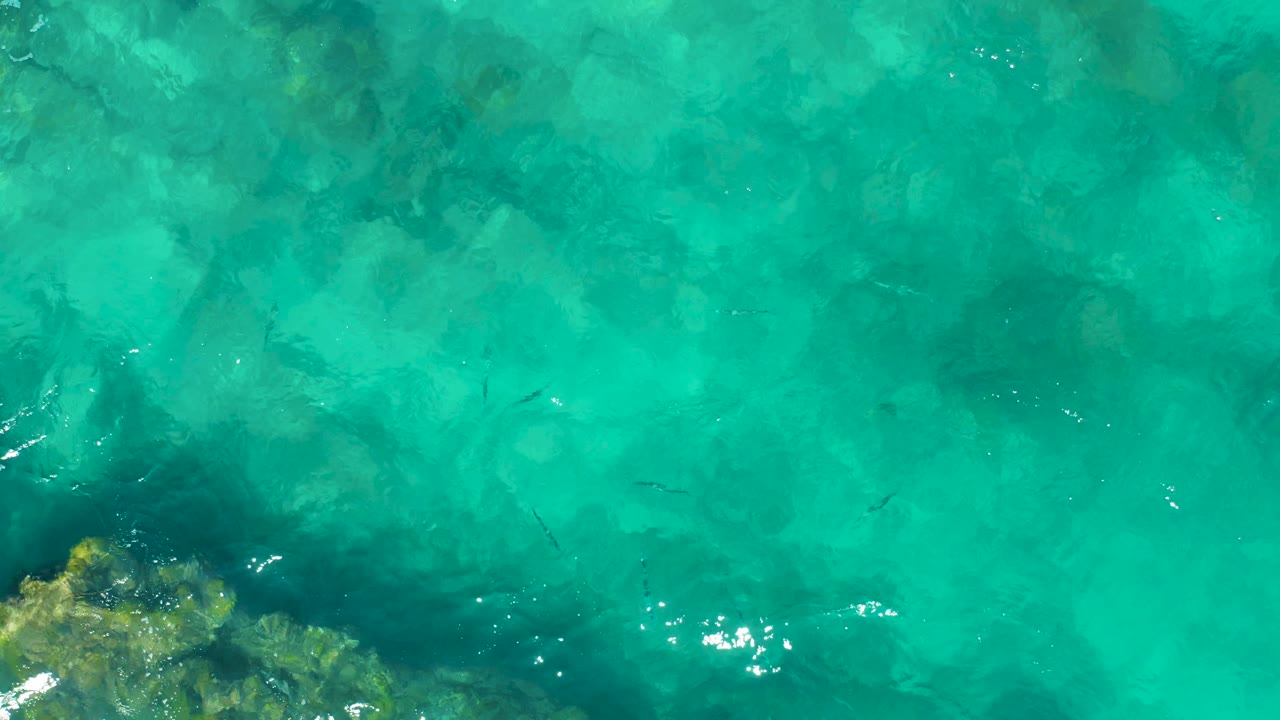 Turquoise ocean water in East Cape BCS Mexico covers coral-like rock forms, with small fish visible below the surface and no visible people.
