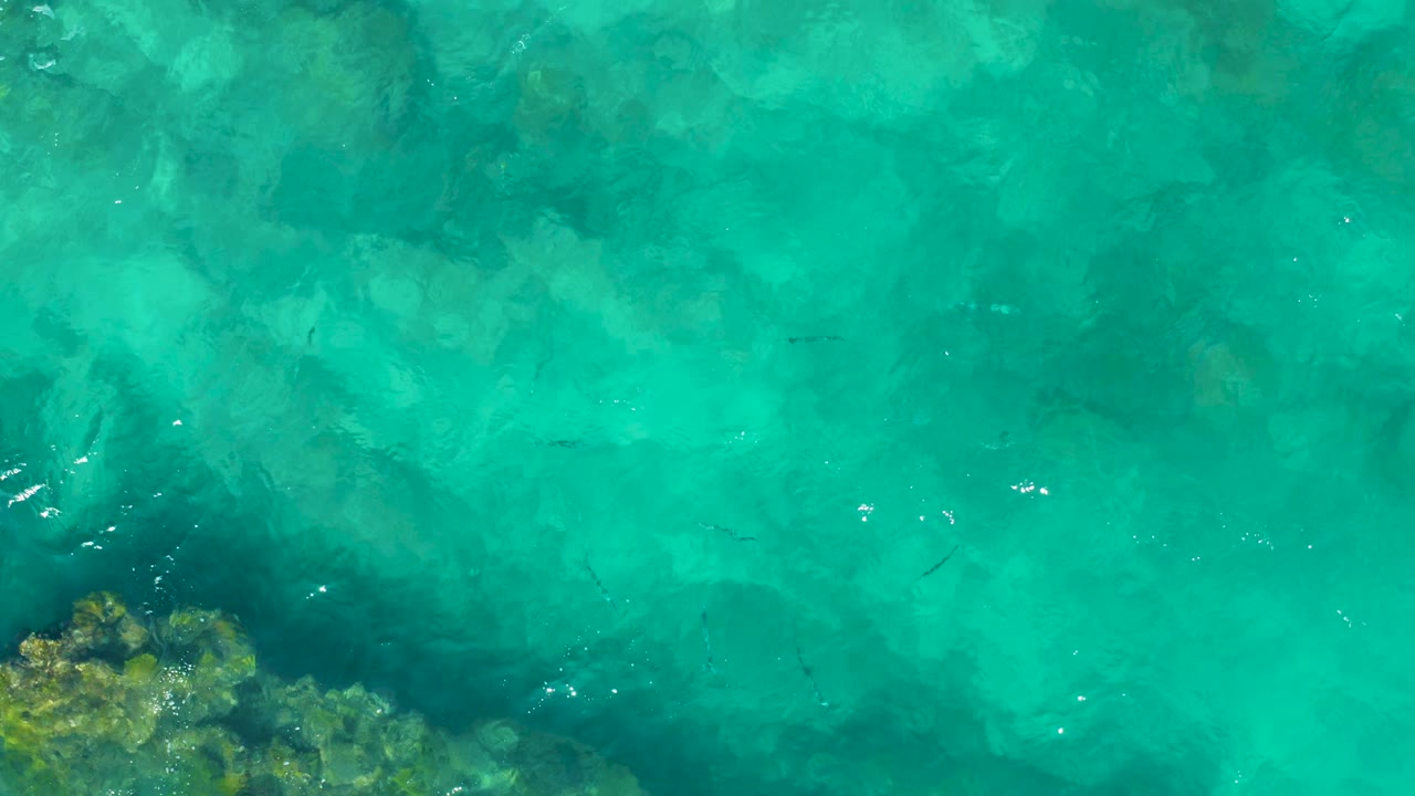 Overhead water view with rocky edge and fish below