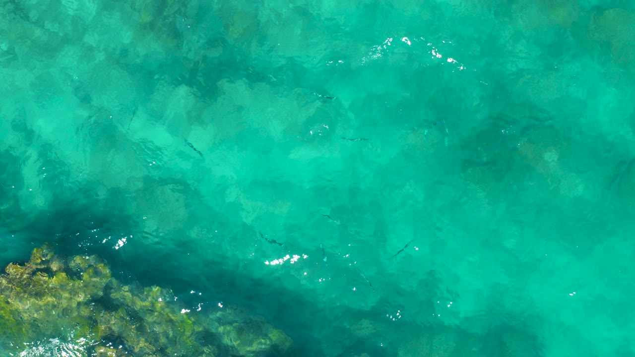 Turquoise ocean water with reef edge and fish below the surface