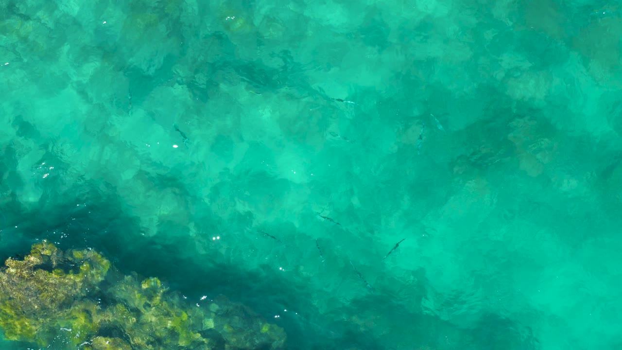 Top-down East Cape BCS Mexico ocean frame with a reef corner along the lower left, bright turquoise water across the image, and faint fish visible under small surface ripples, no visible people.
