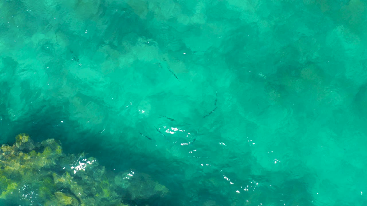 Turquoise ocean water over submerged rocks and small fish.