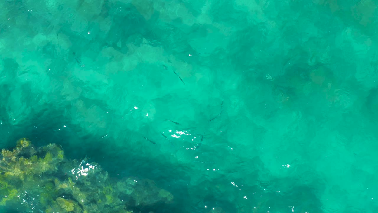 Overhead East Cape BCS Mexico frame with the reef edge sitting lower left, pale underwater rock patches through green-blue water, small dark fish, and no visible people.