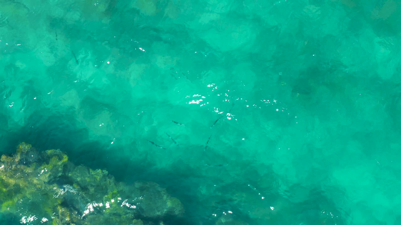 Top-down view over shallow turquoise sea in East Cape BCS Mexico, where coral-like rock appears along the lower left and small fish marks cross the bright water, with no visible people.