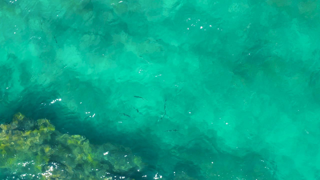 Aerial view of East Cape BCS Mexico water with the rocky underwater area low in frame, scattered small fish, soft ripples, and no visible people.