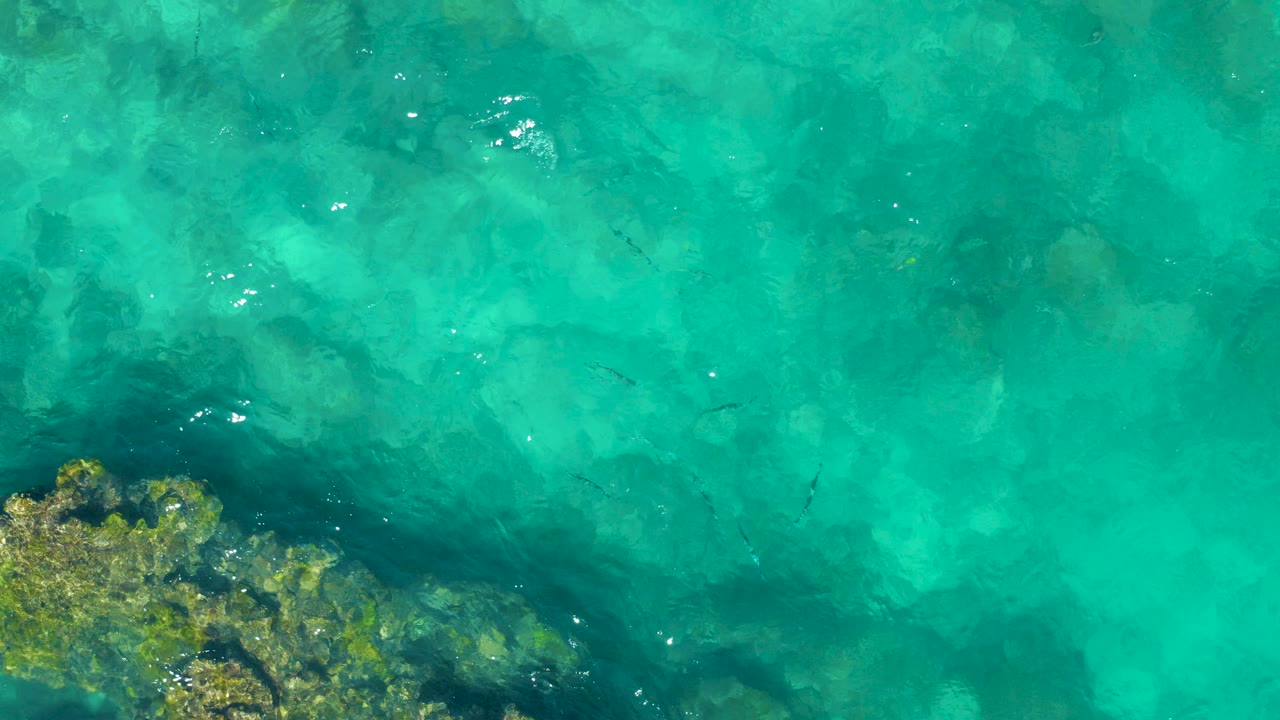 Turquoise shallow ocean water over rocks and small fish.