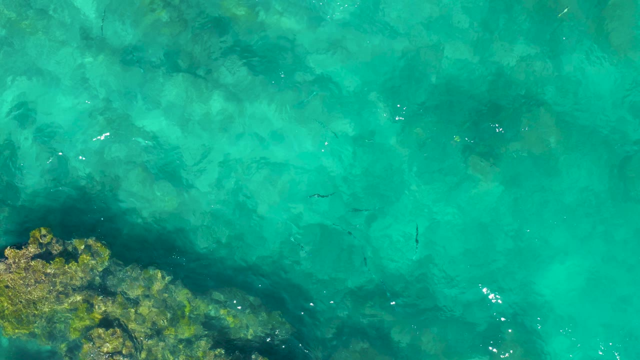 Overhead frame from East Cape, Baja California Sur, with a coral or rock patch entering from the lower left, transparent turquoise water, scattered fish silhouettes, and no visible people.