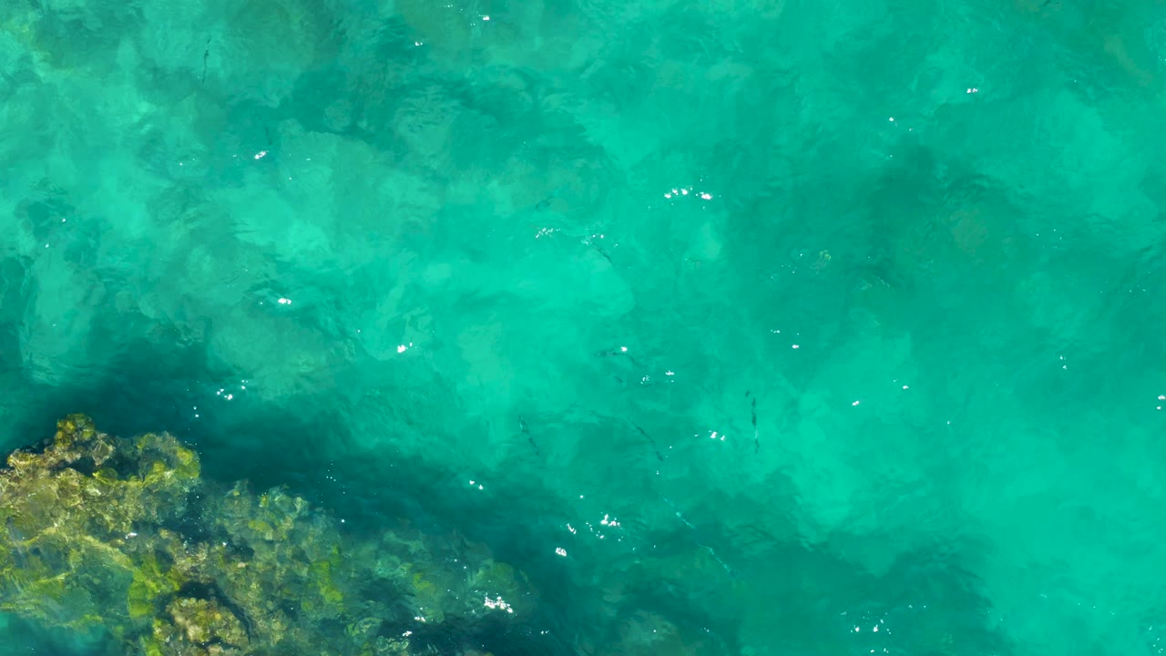 East Cape, Baja California Sur water fills the frame with a small rocky corner at lower left, translucent seabed tones, faint fish shapes, light ripples, and no visible people.