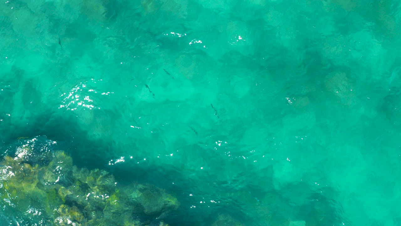 Top-down turquoise water with fish shadows and rocky coral at the lower left.