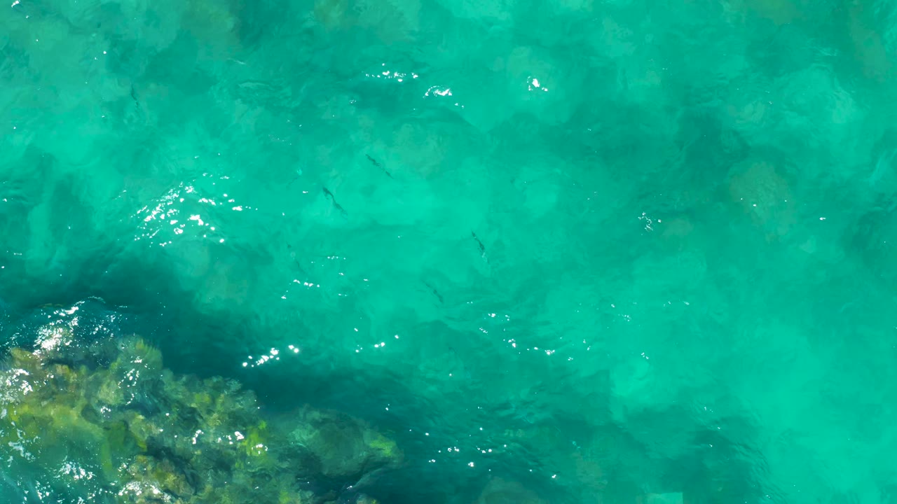 Aerial frame over East Cape, Baja California Sur water showing pale seabed patches, dark fish shapes below the surface, coral rock along the lower edge, and no visible people.