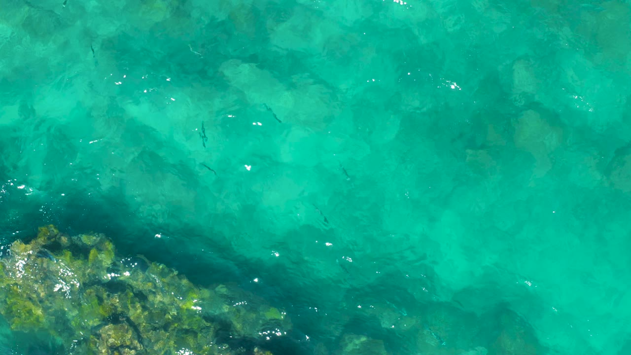 Overhead view of East Cape, Baja California Sur shallows where the turquoise water reveals mottled seabed texture, a dark reef edge at lower left, small fish shapes, and no visible people.