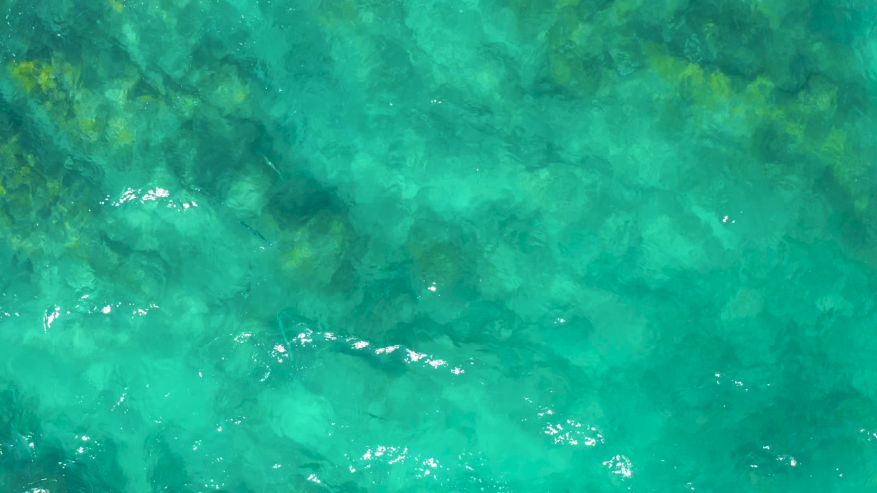 A top-down East Cape ocean frame shows darker submerged patches beneath teal water and scattered surface glints, with no visible people.