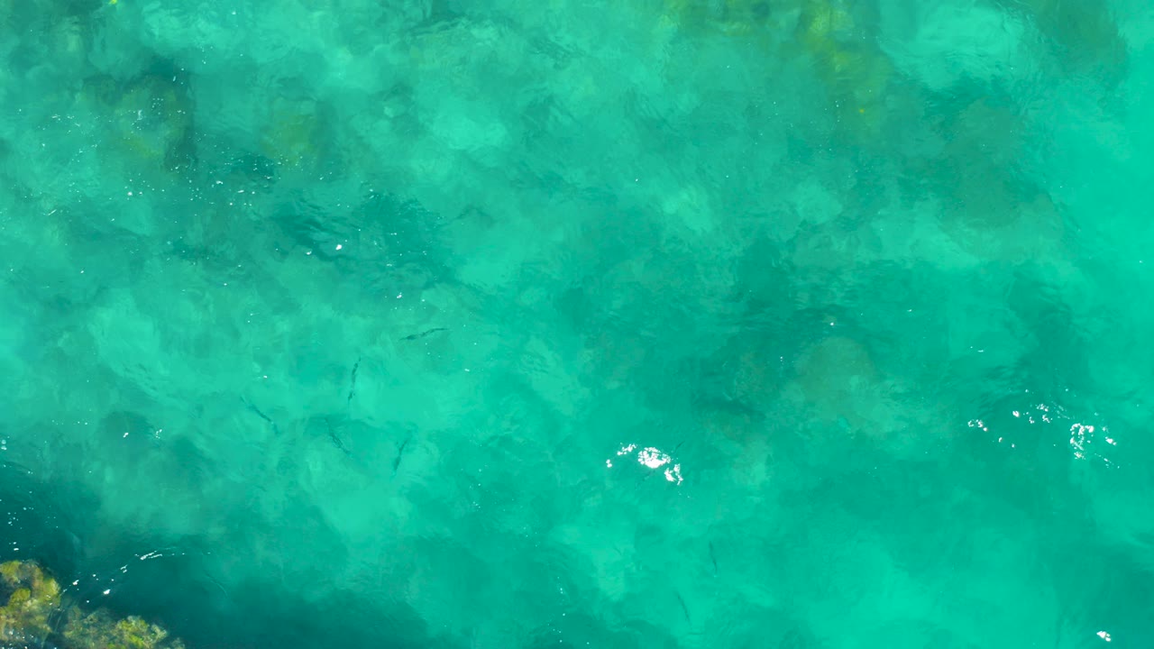 Overhead view of clear turquoise water in East Cape, Baja California Sur, Mexico, with faint submerged rocks, a few small dark fish, and no visible people.