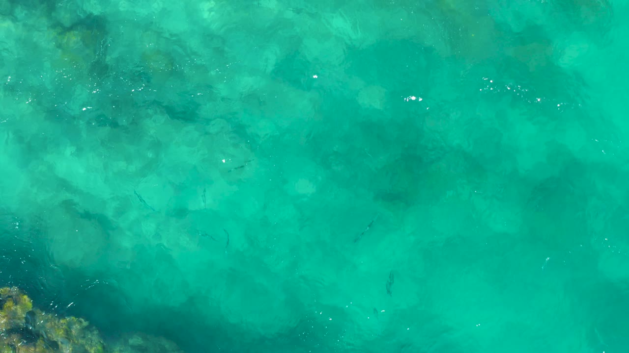 Overhead East Cape water shows soft green-blue reef patches under the surface, scattered small fish, slight white sparkle, and no visible people.