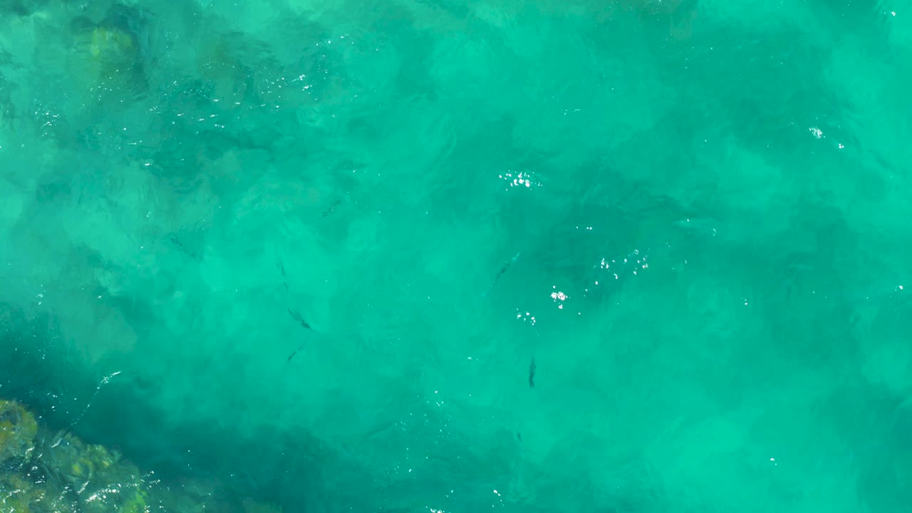 A rocky edge appears in the lower left of the East Cape overhead view, with turquoise water, faint fish shapes, soft underwater texture, and no visible people.