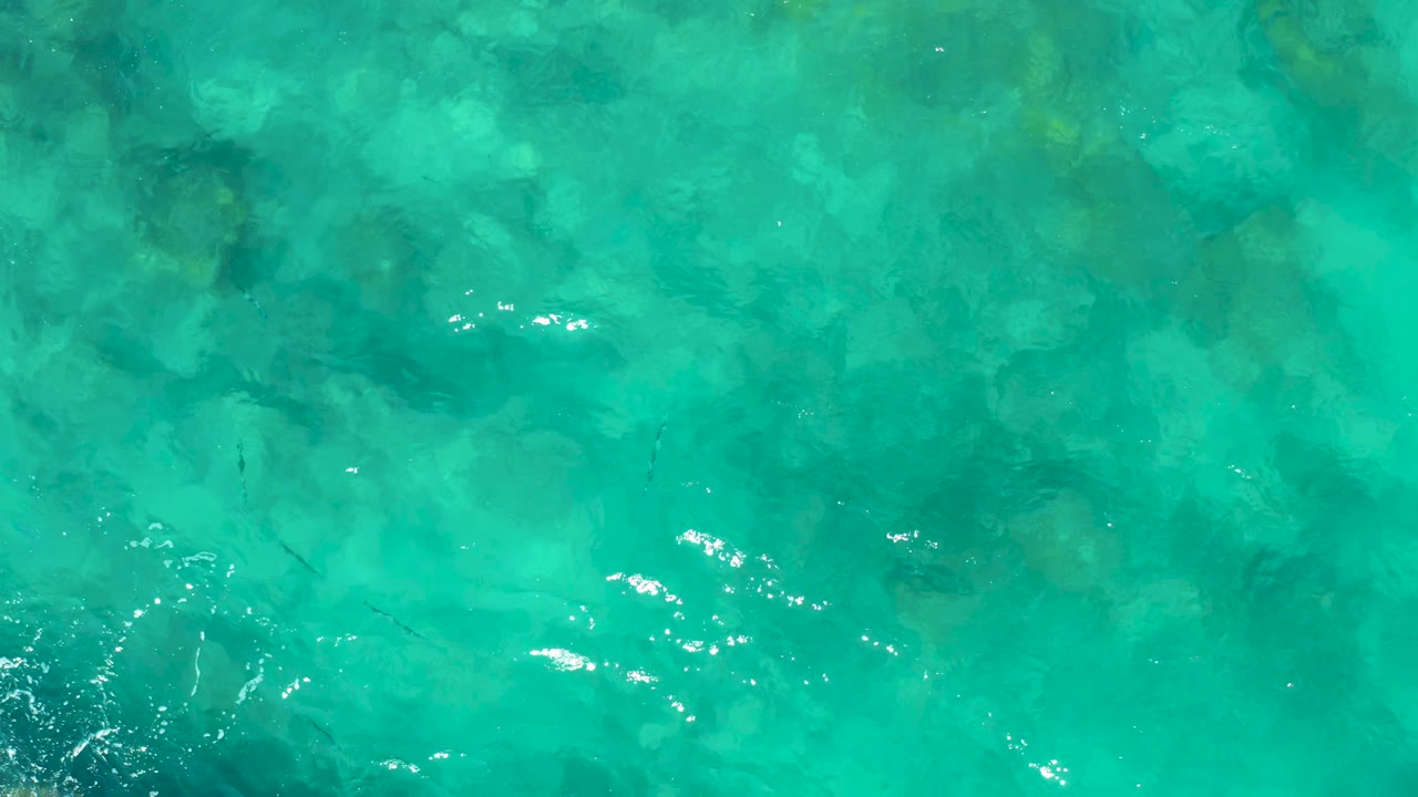 Clear green-blue water fills the frame in East Cape, Baja California Sur, with darker underwater patches, scattered small fish, light ripples, and no visible people.