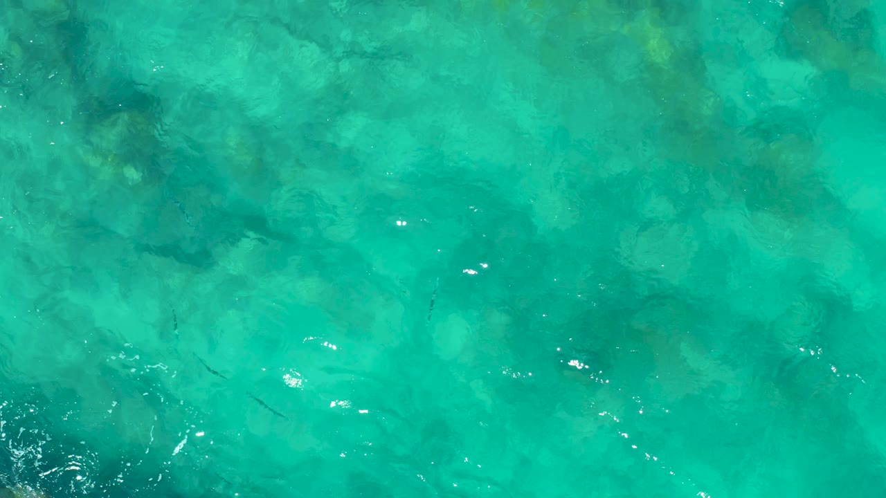 An overhead frame of East Cape turquoise water shows small fish beneath bright surface reflections and mottled underwater rock shapes, with no visible people.