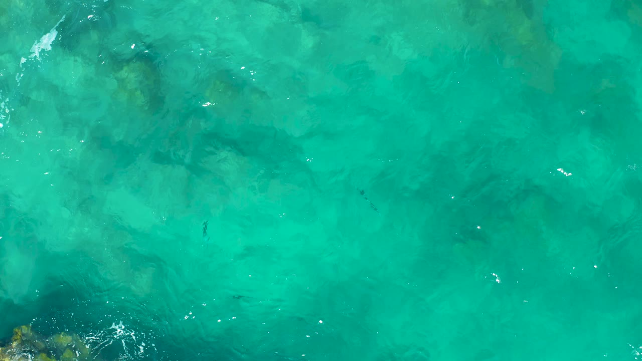 Top-down East Cape water shows transparent green-blue shallows, faint rocks and reef shapes underneath, scattered white surface flecks, and no visible people.