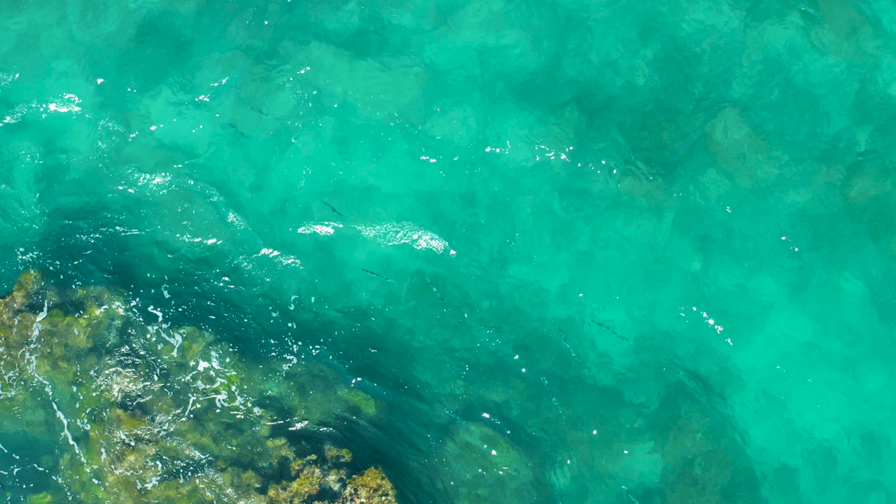 Overhead view of clear turquoise water in East Cape BCS Mexico, with submerged rocks entering from the lower left, scattered fish, surface ripples, and no visible people.