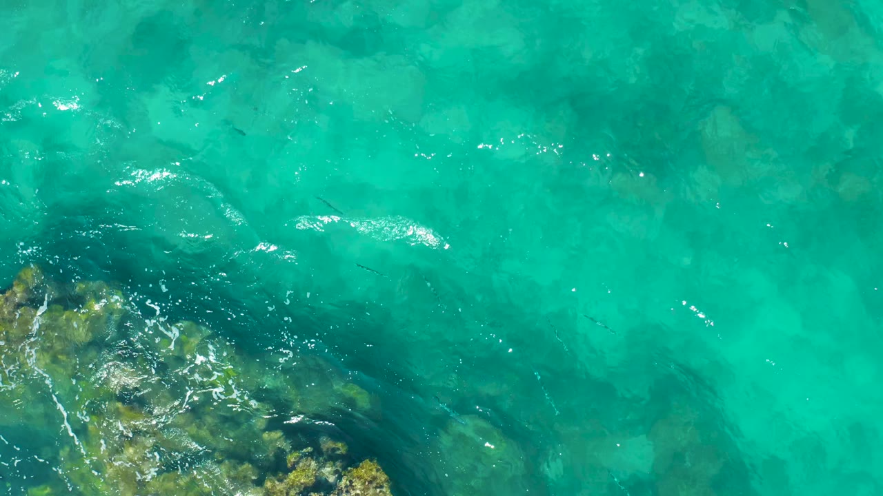 Overhead East Cape BCS Mexico water view with a rocky patch below center, dark fish shapes in the clear shallows, bright ripples, and no visible people.