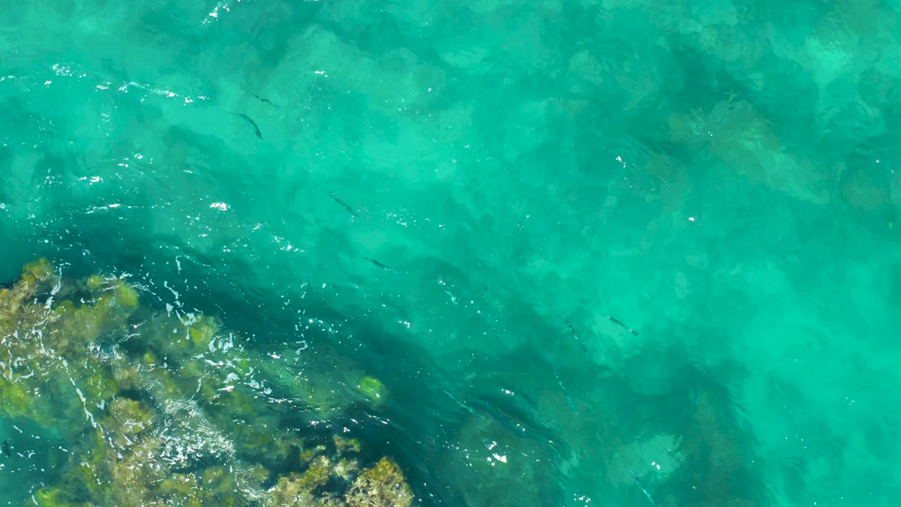 A top-down frame from East Cape BCS Mexico shows a rocky outcrop along the lower left, fish crossing the blue-green water, surface shimmer, and no visible people.